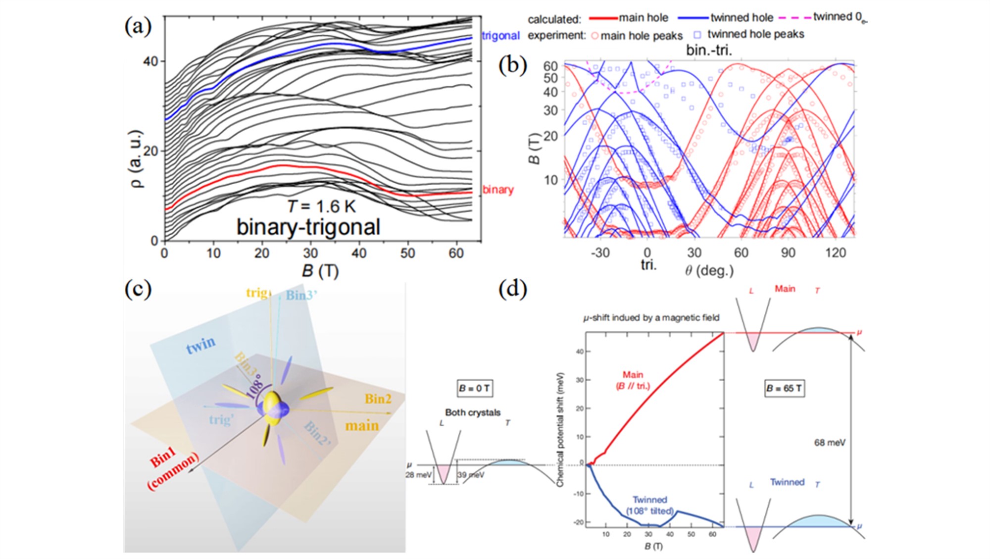 High-field immiscibility of electrons belonging to adjacent twinned bismuth c...