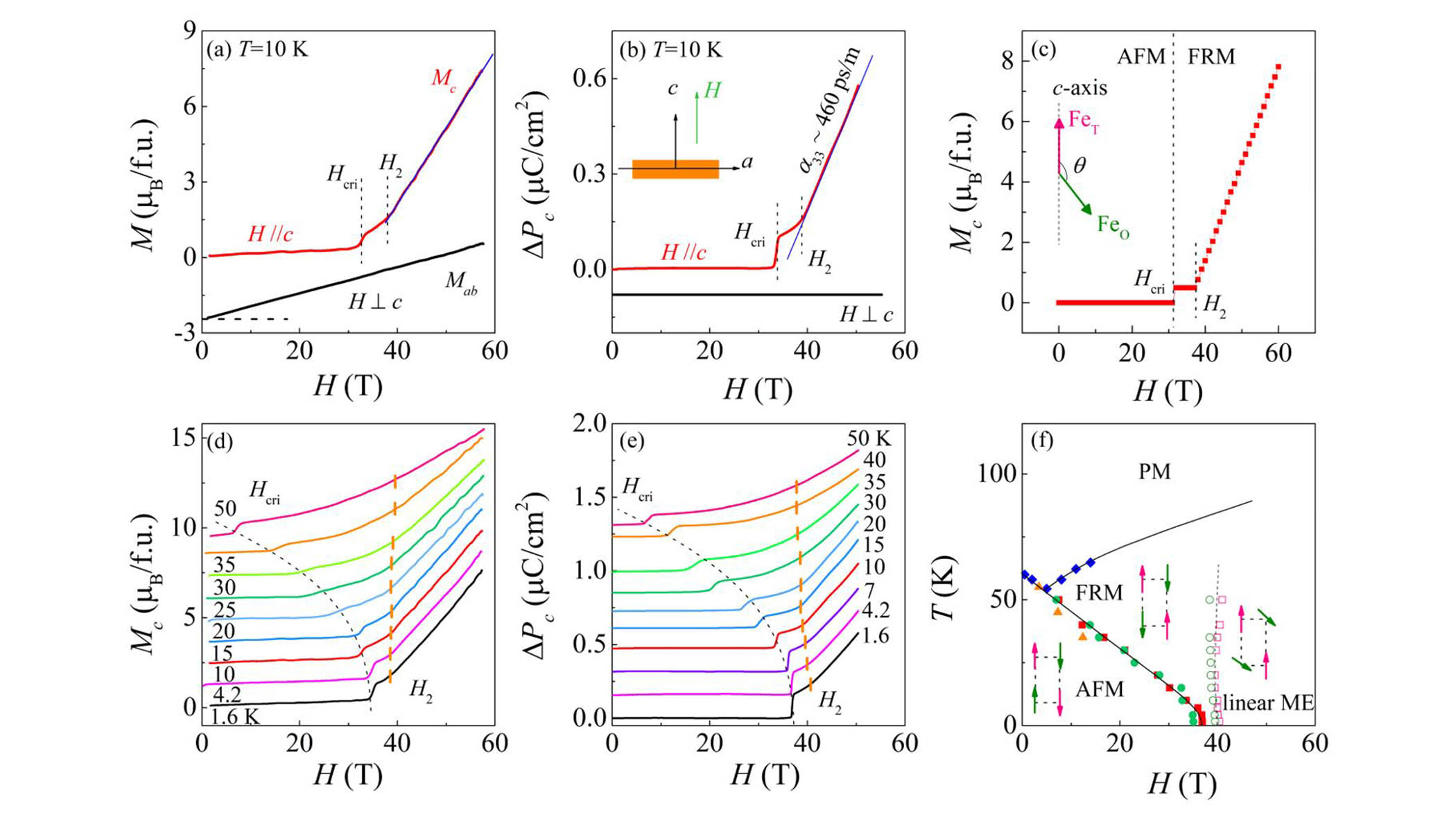 Colossal linear magnetoelectricity in polar magnet Fe2Mo3O8